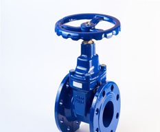 Valves Stockist